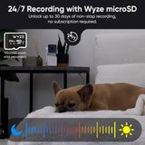 WYZE Cam Pan v3, Indoor/Outdoor IP65-Rated 1080p Pan/Tilt/Zoom Wi-Fi Smart Home Security Camera with Color Night Vision, 2-Way Audio, Compatible with Alexa & Google Assistant